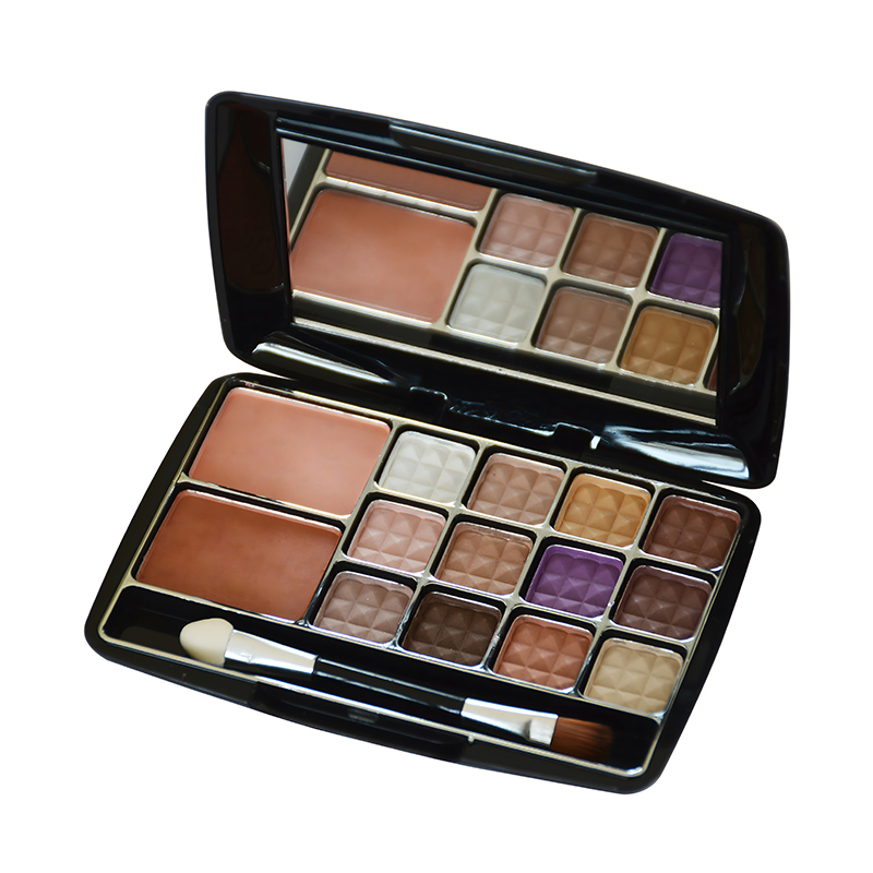 Paleta de sombras de ojos de 12 colores Earth Series + rubor de 2 colores -01